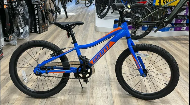 XTC Jr 20 inch Coaster Brake Bike Metallic Blue